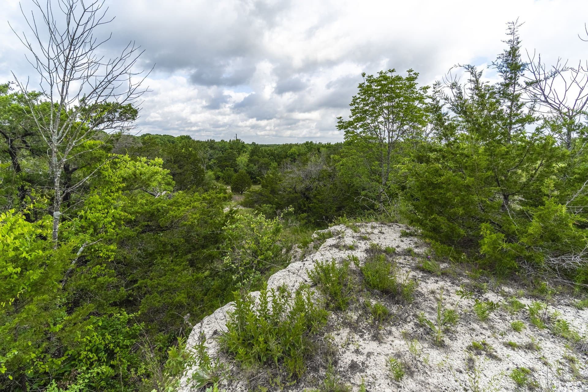 8.82 acres in Dallas County - photo 8
