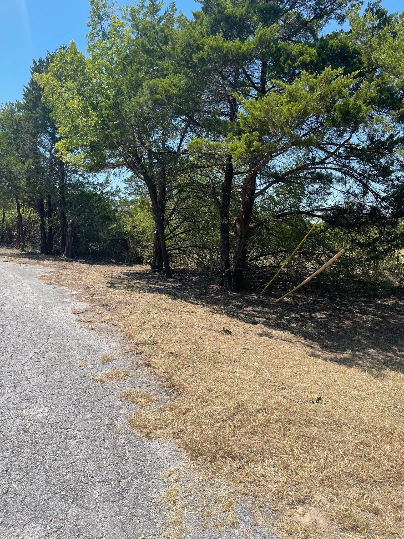 8.82 acres in Dallas County - photo 2