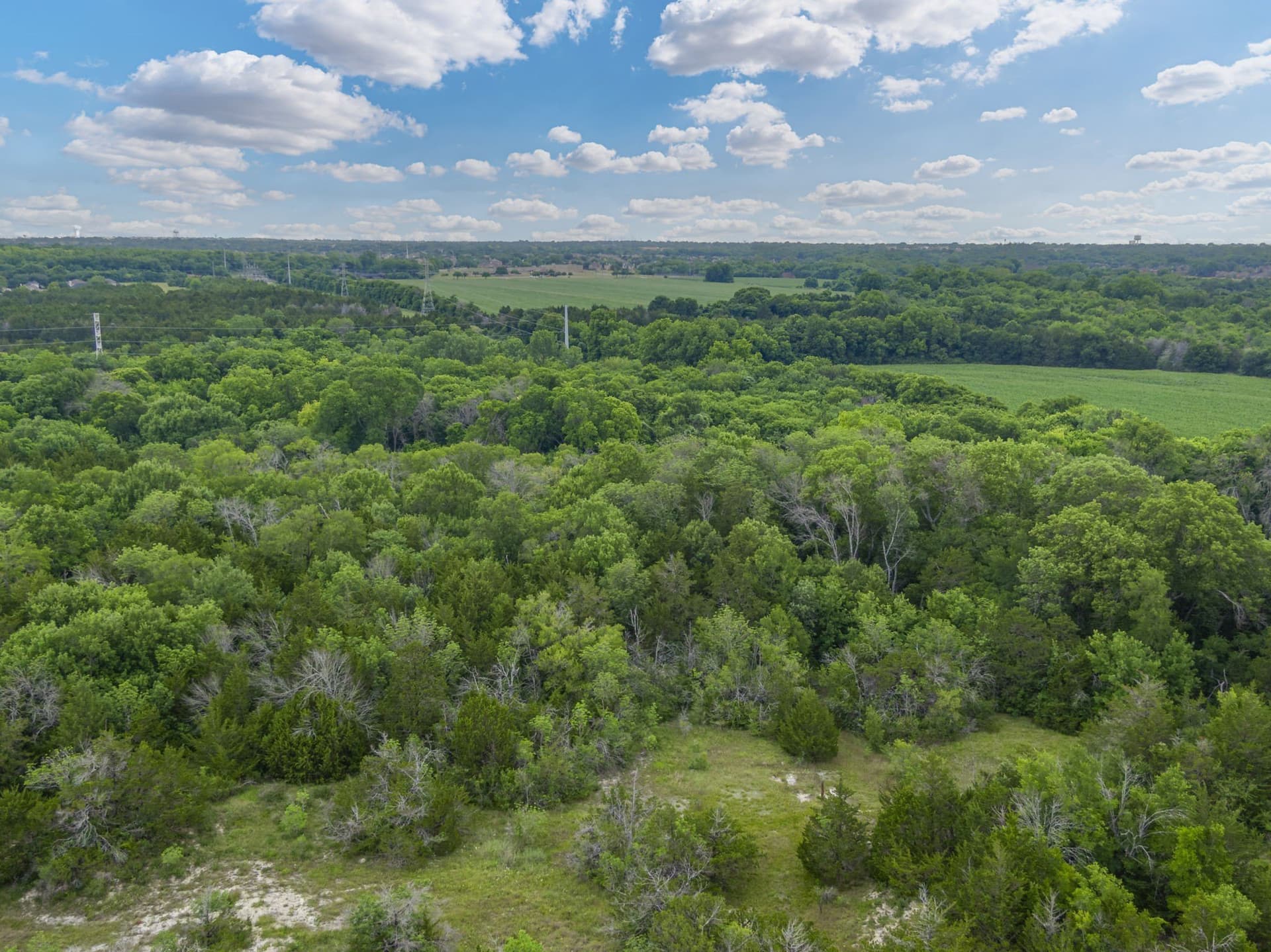 8.82 acres in Dallas County - photo 23