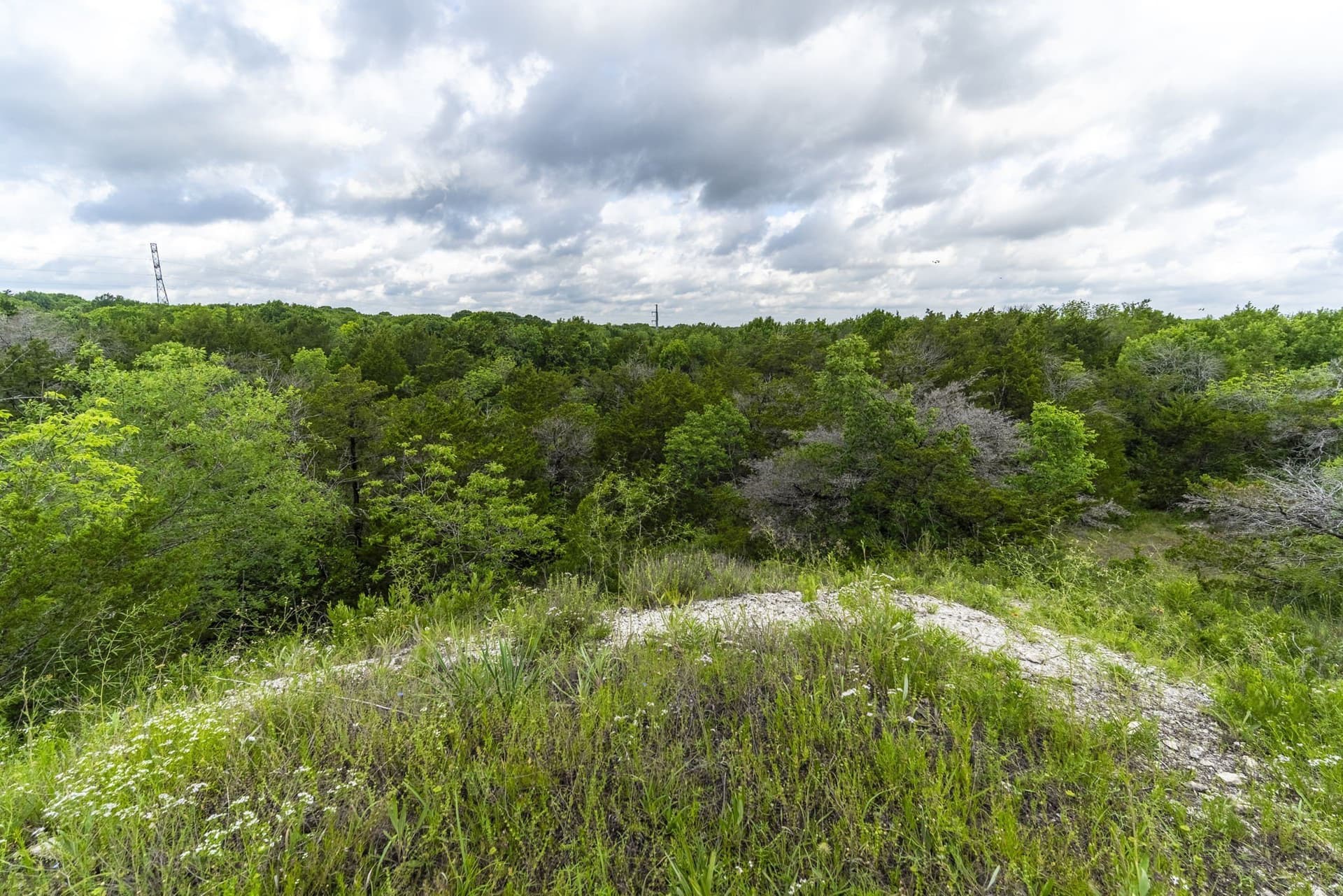 8.82 acres in Dallas County - photo 9
