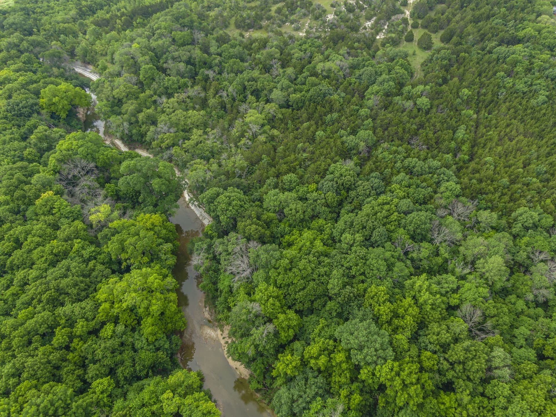 8.82 acres in Dallas County - photo 16