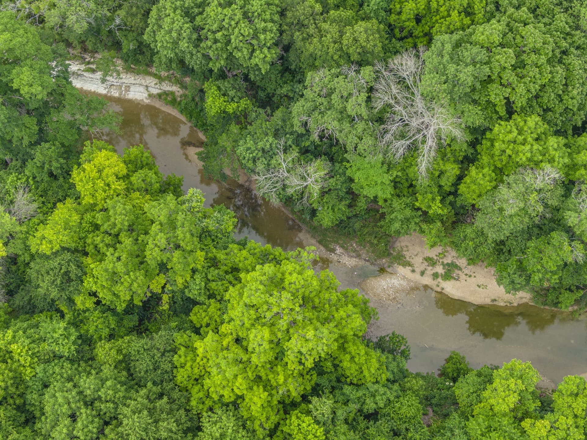 8.82 acres in Dallas County - photo 18