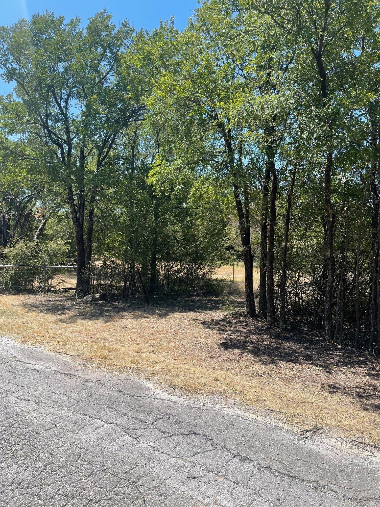 8.82 acres in Dallas County - photo 11