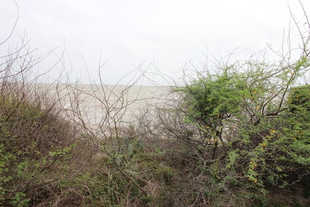 0.21 acres in Palacios Area County - photo 3