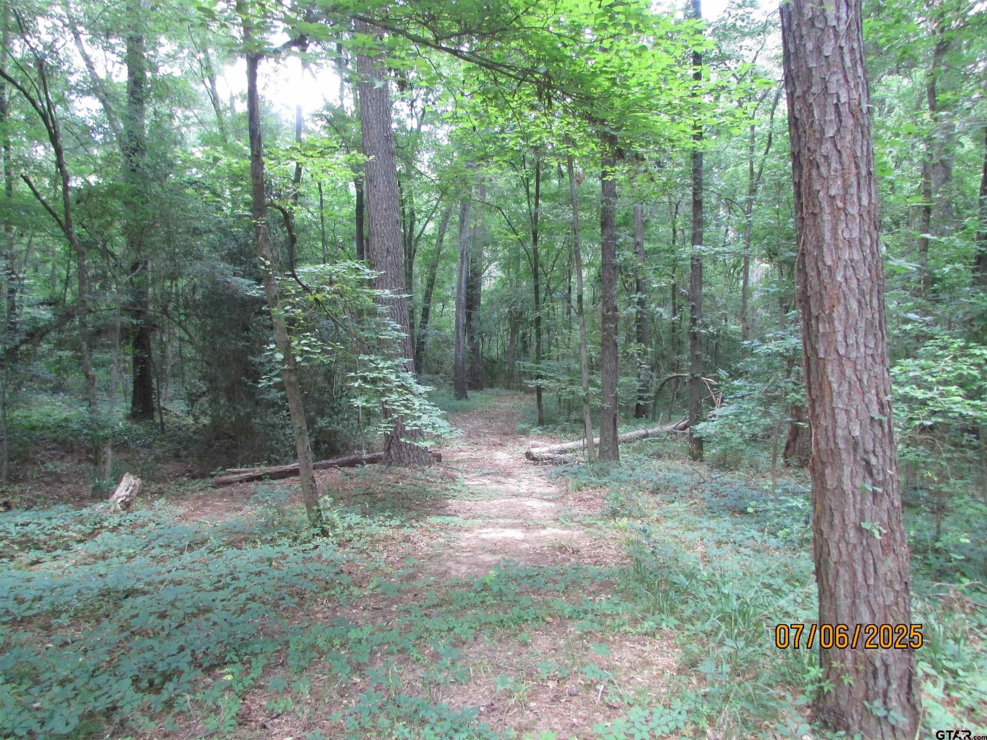 28.2 acres in Anderson County gallery image 4