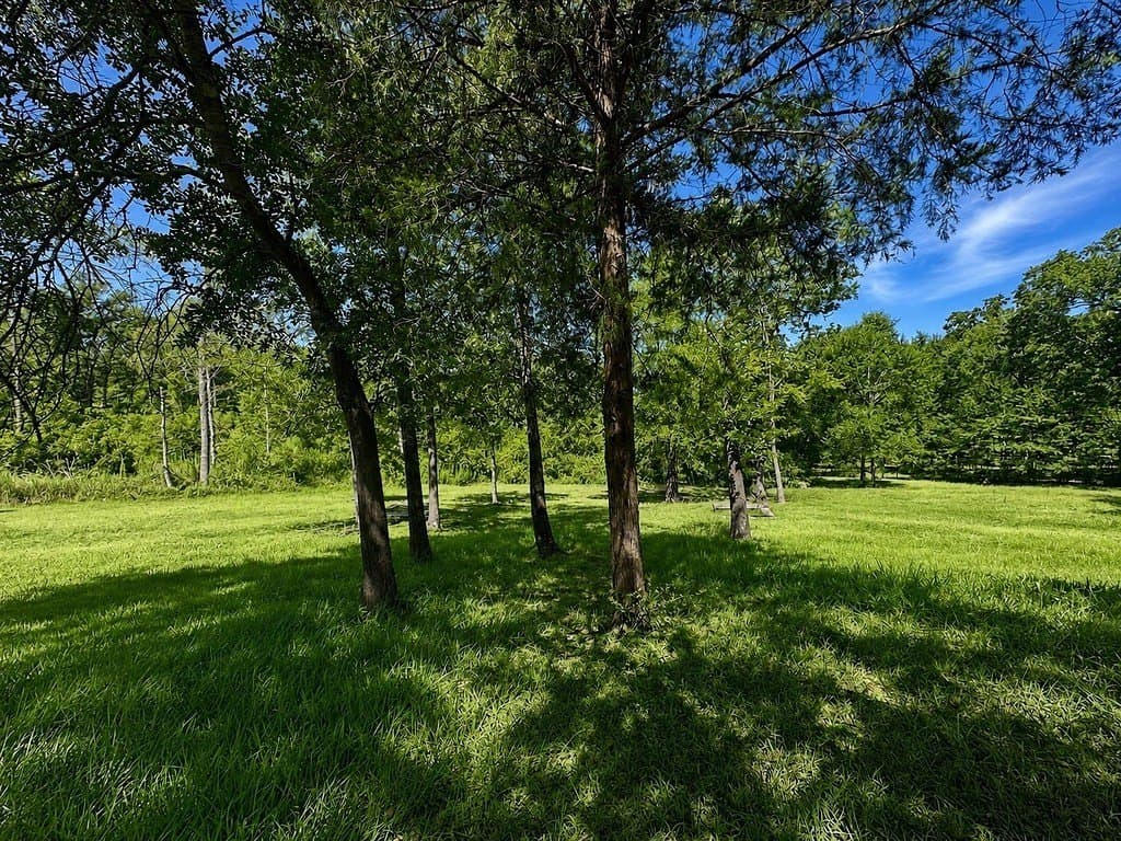 2.45 acres in Grimes County - photo 24