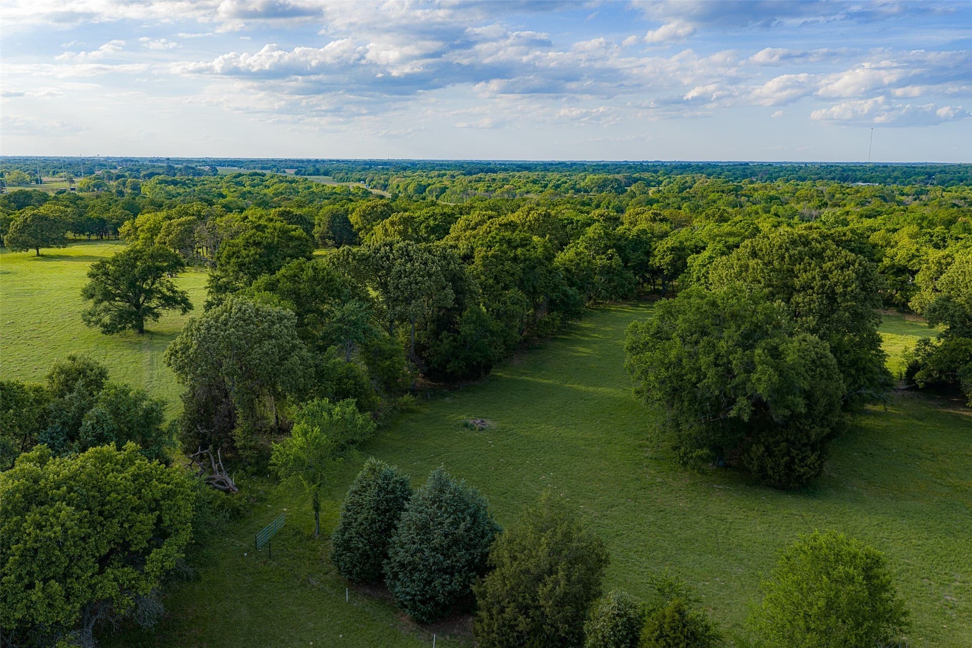 48.32 acres in Henderson County - photo 37