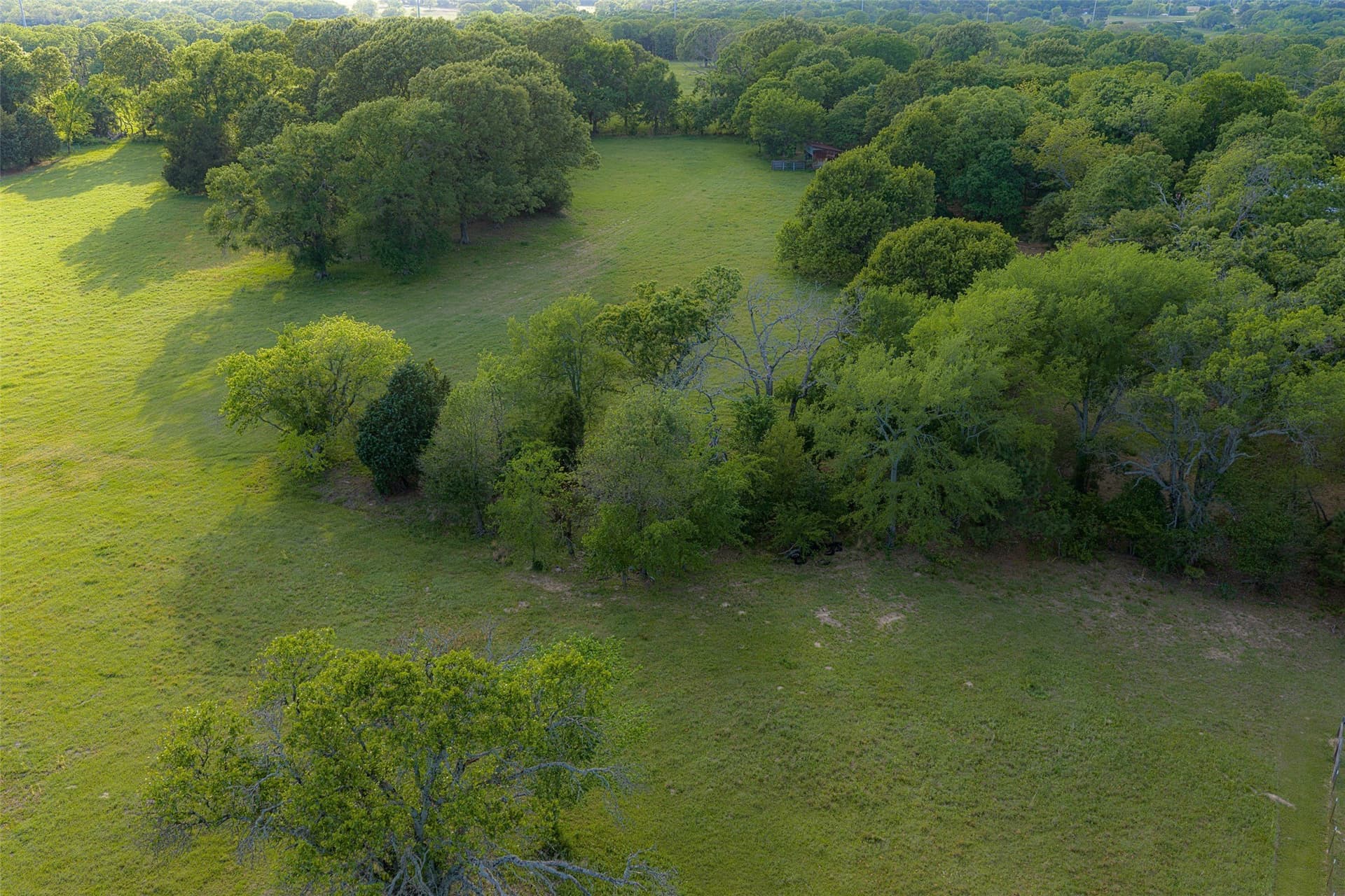 48.32 acres in Henderson County - photo 15