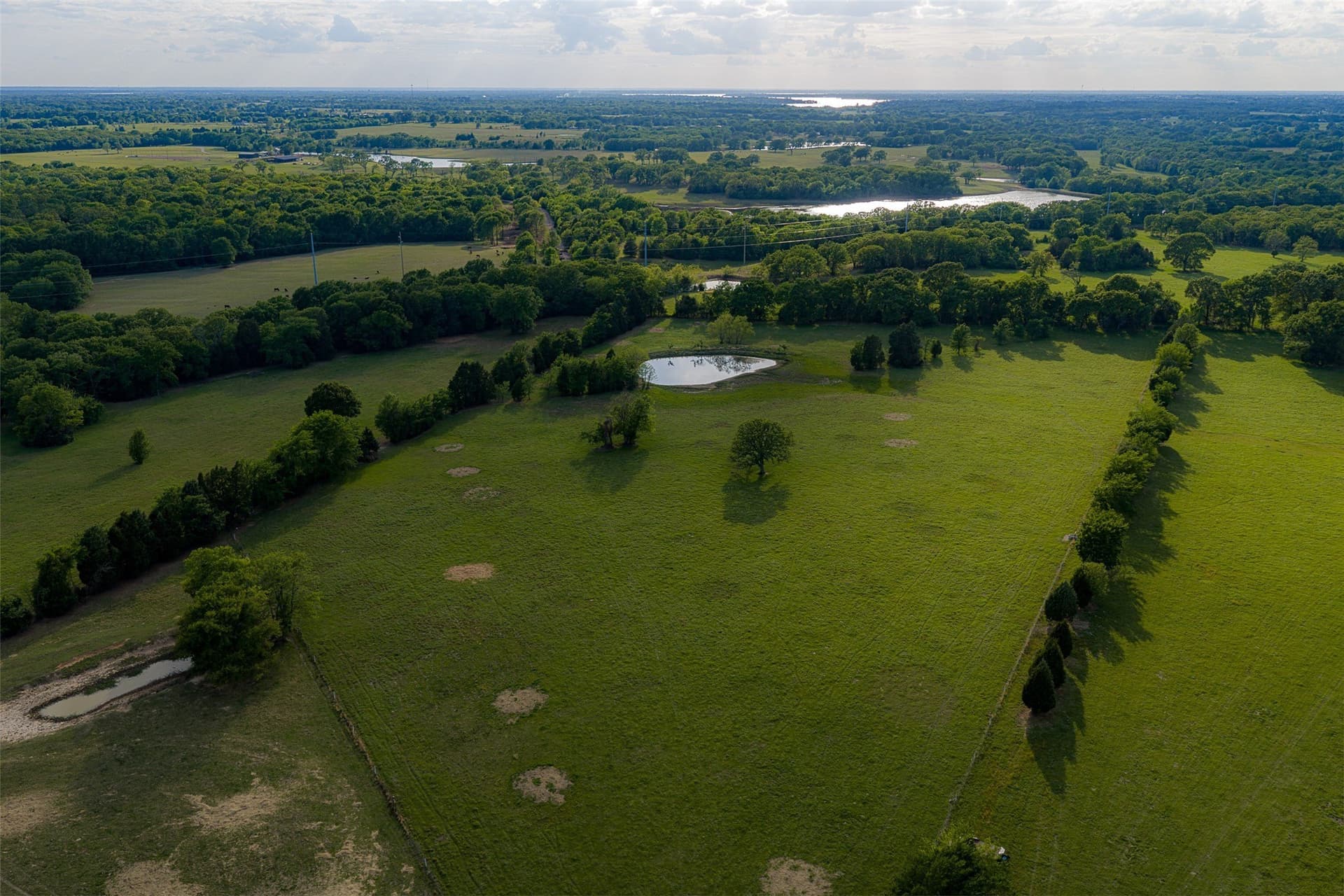 48.32 acres in Henderson County - photo 33