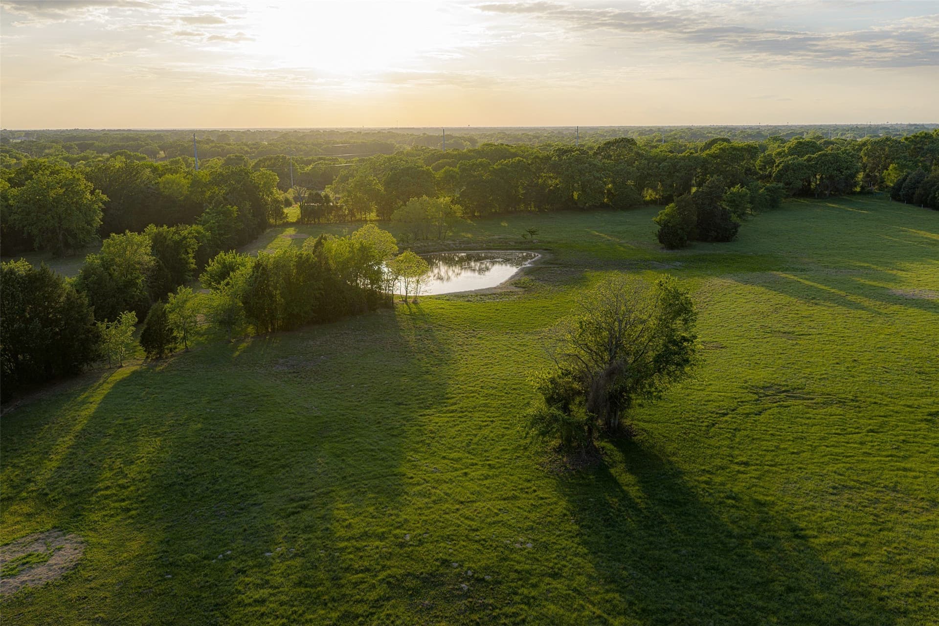 48.32 acres in Henderson County