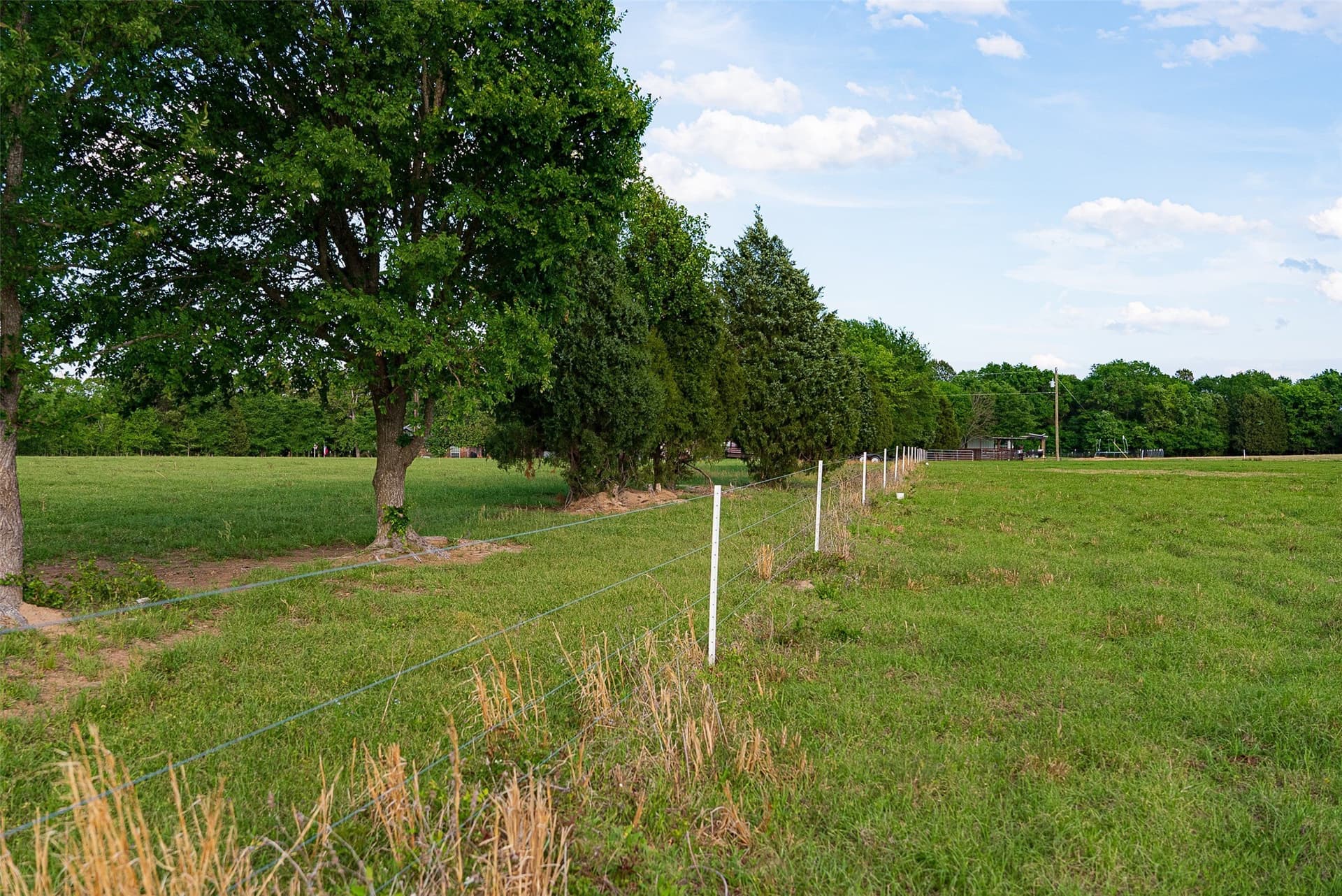 48.32 acres in Henderson County - photo 30