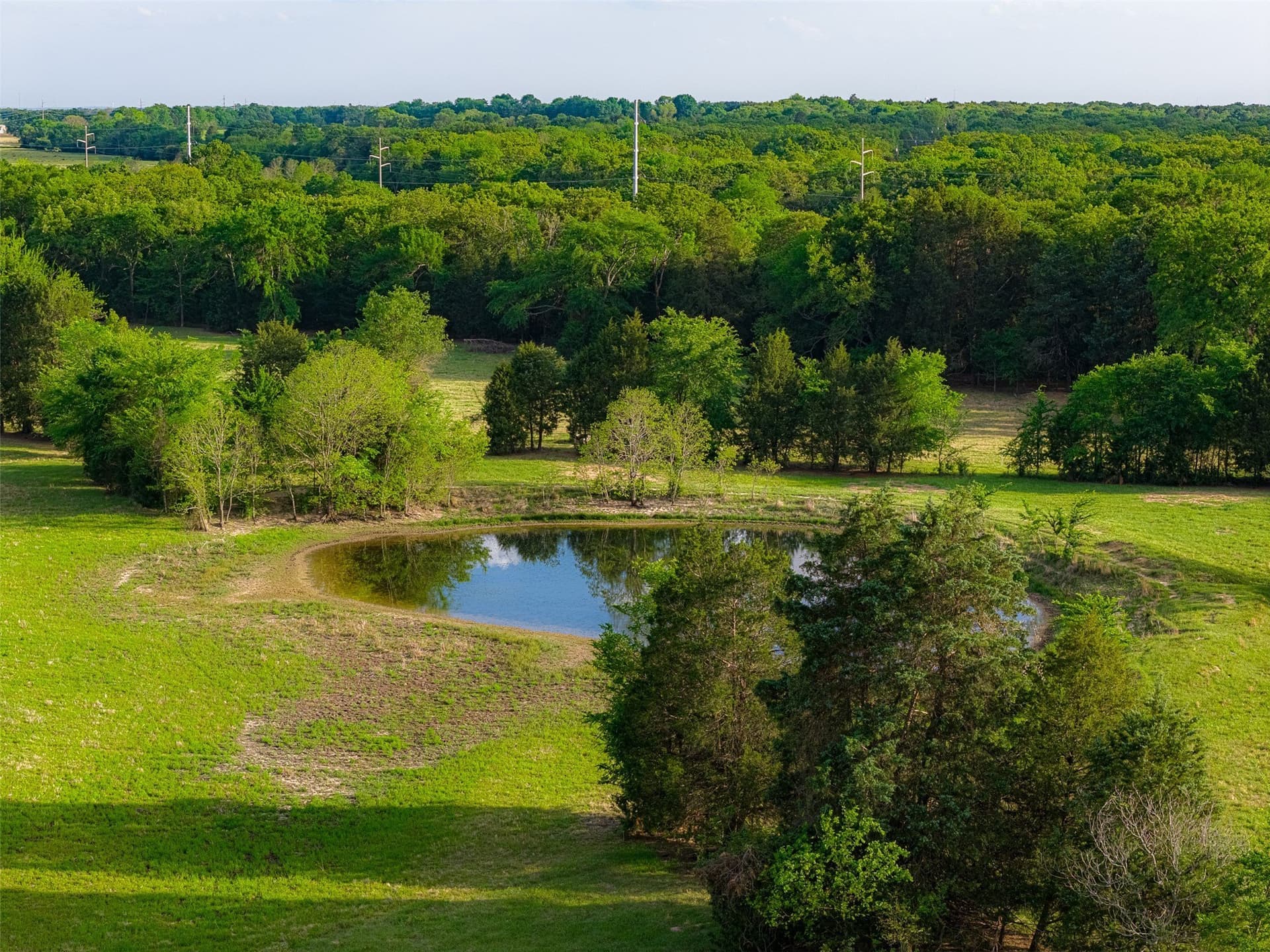 48.32 acres in Henderson County - photo 25
