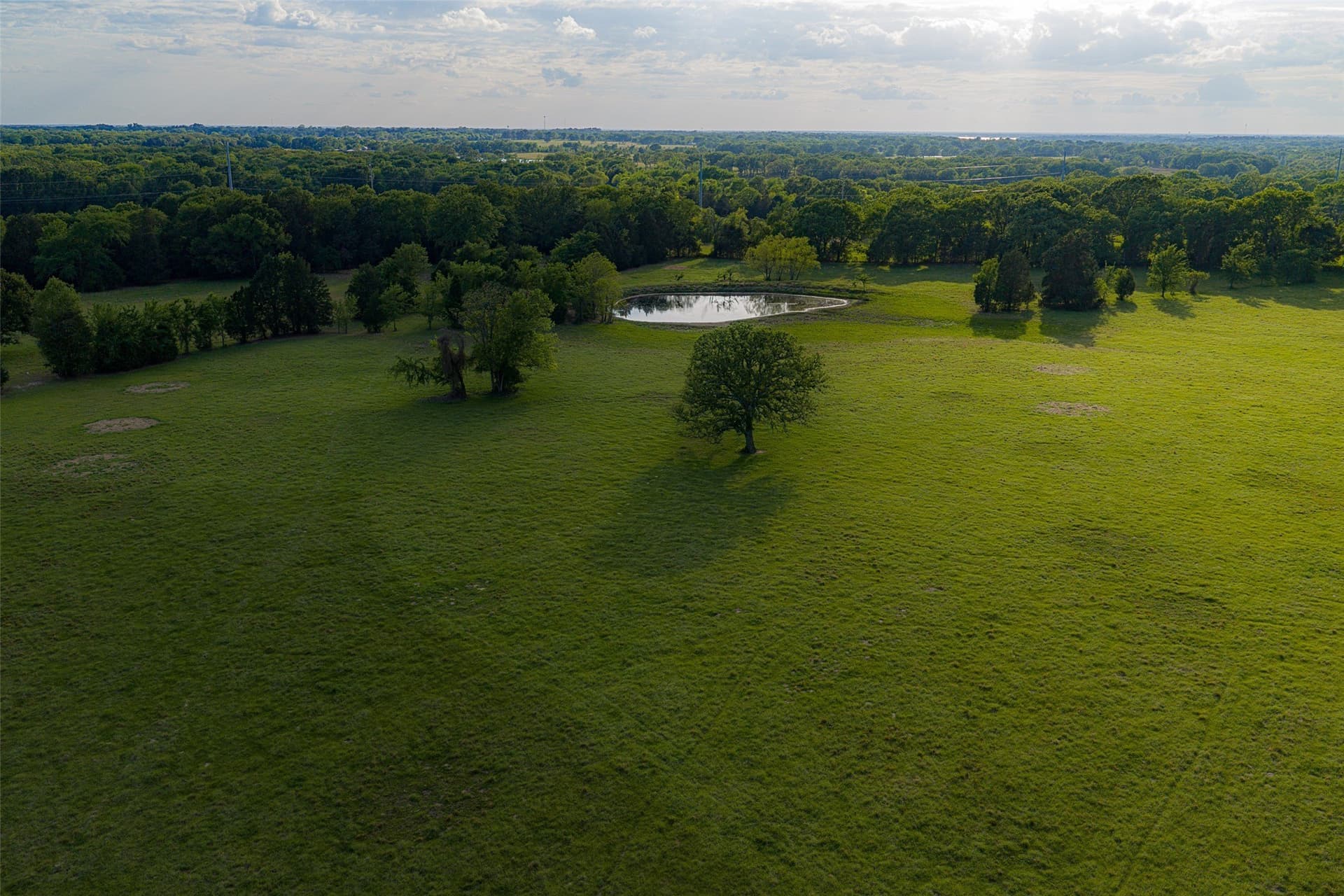 48.32 acres in Henderson County - photo 35