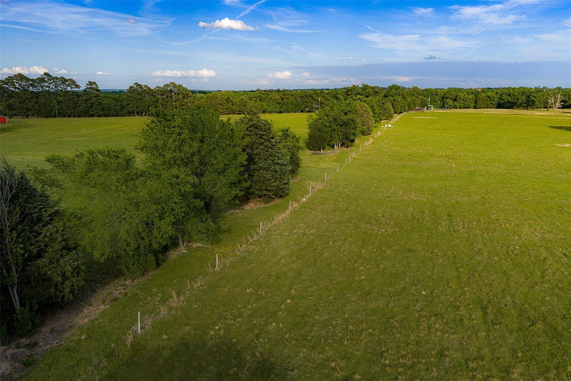48.32 acres in Henderson County - photo 32