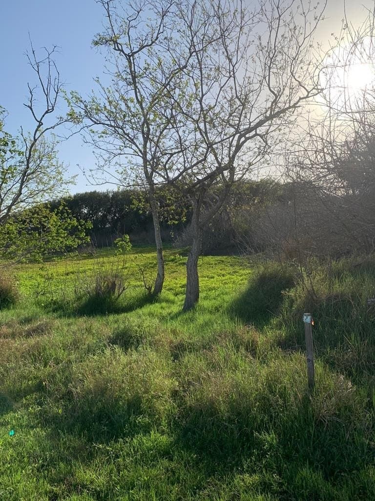 0.33 acres in Texas County