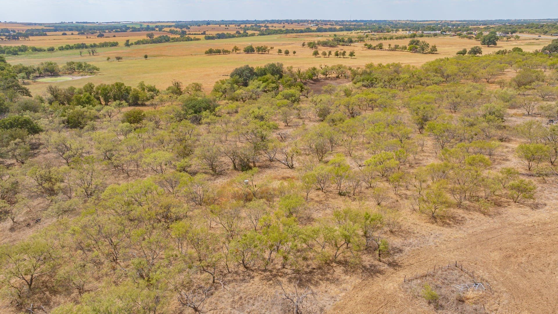 18.16 acres in Erath County - photo 11