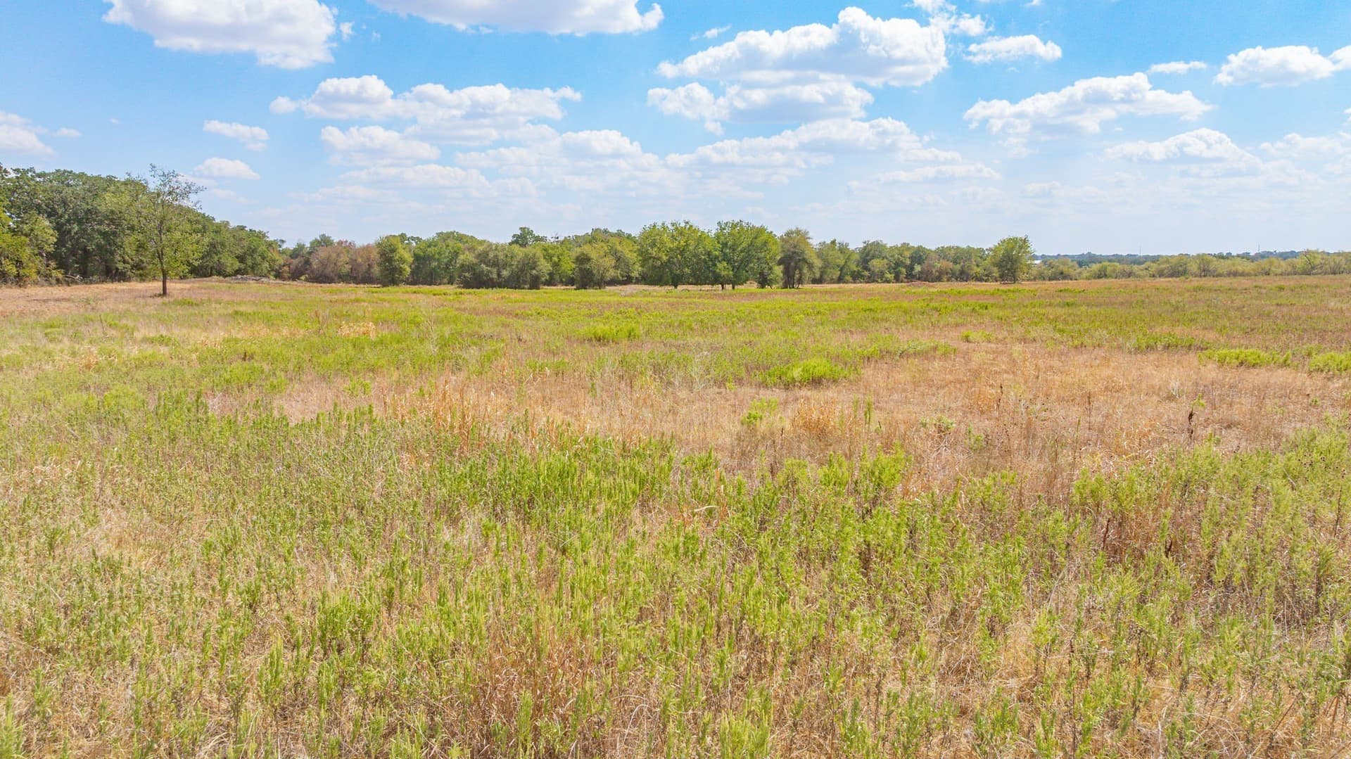 18.16 acres in Erath County - photo 6