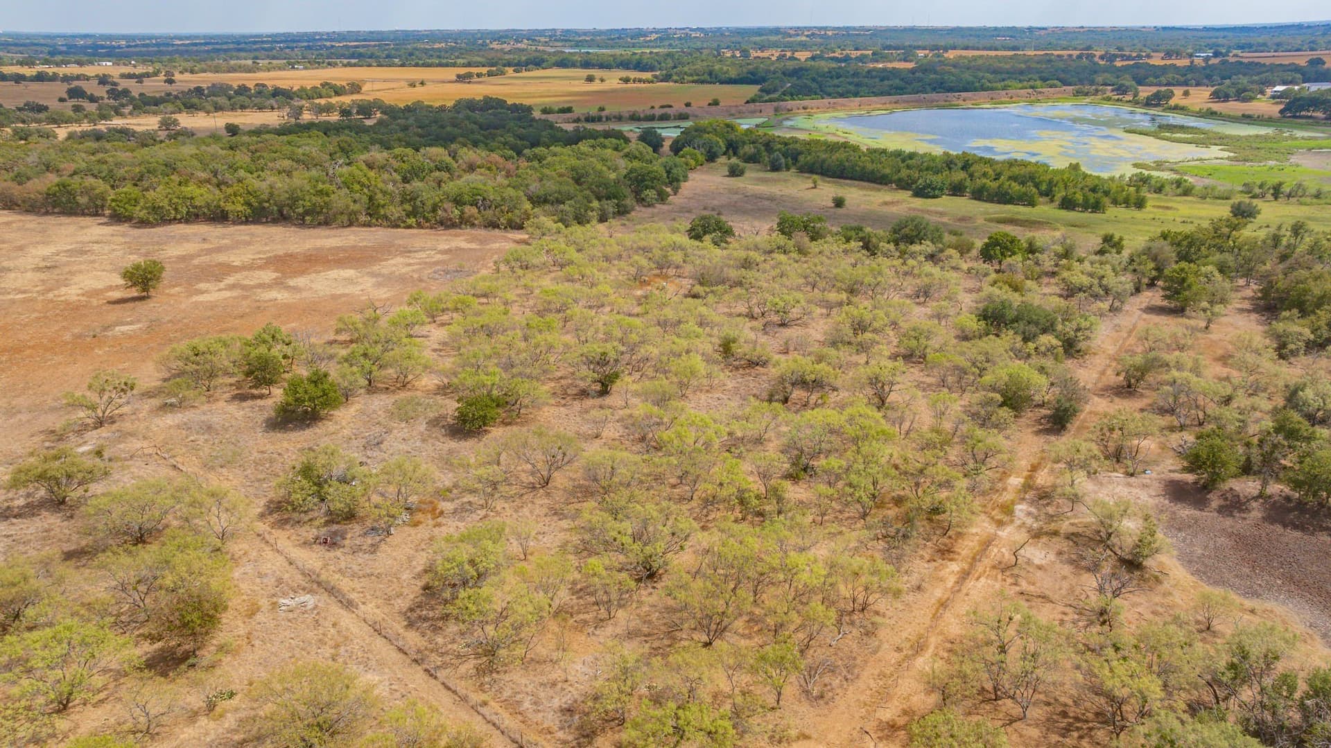 18.16 acres in Erath County - photo 18
