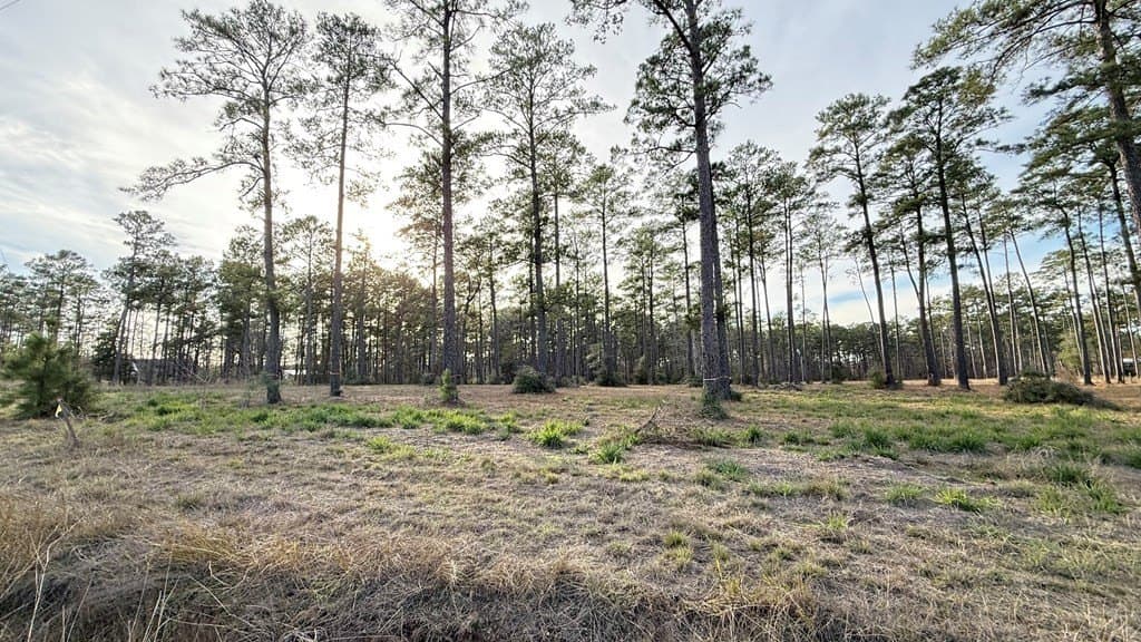 1.14 acres in Texas County - photo 4