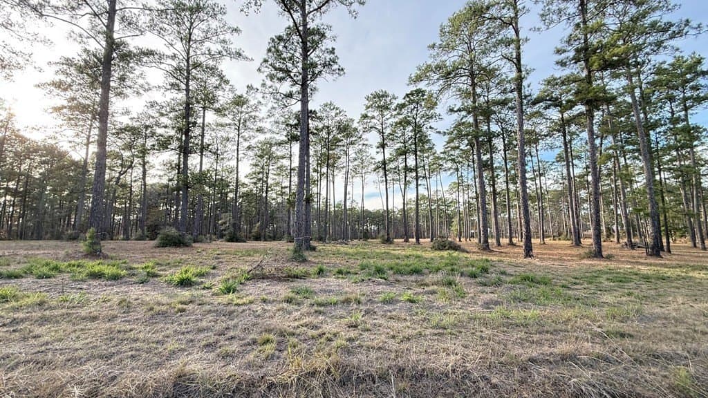 1.14 acres in Texas County - photo 2