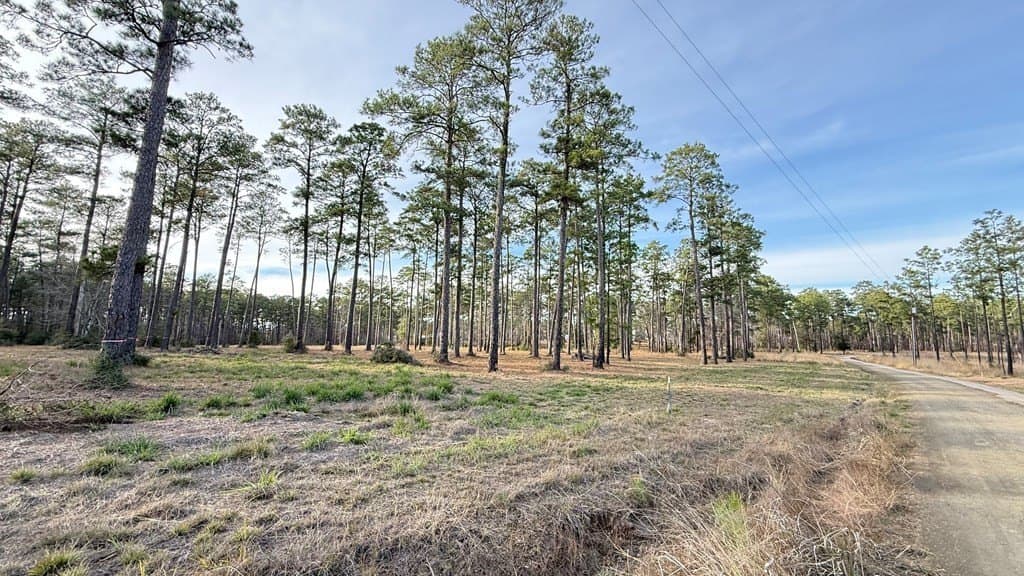 1.14 acres in Texas County - photo 3