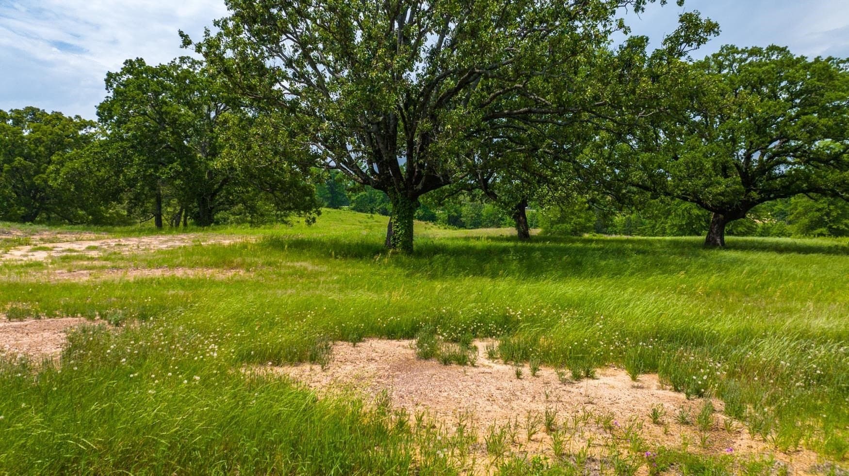 10.15 acres in Upshur County - photo 18