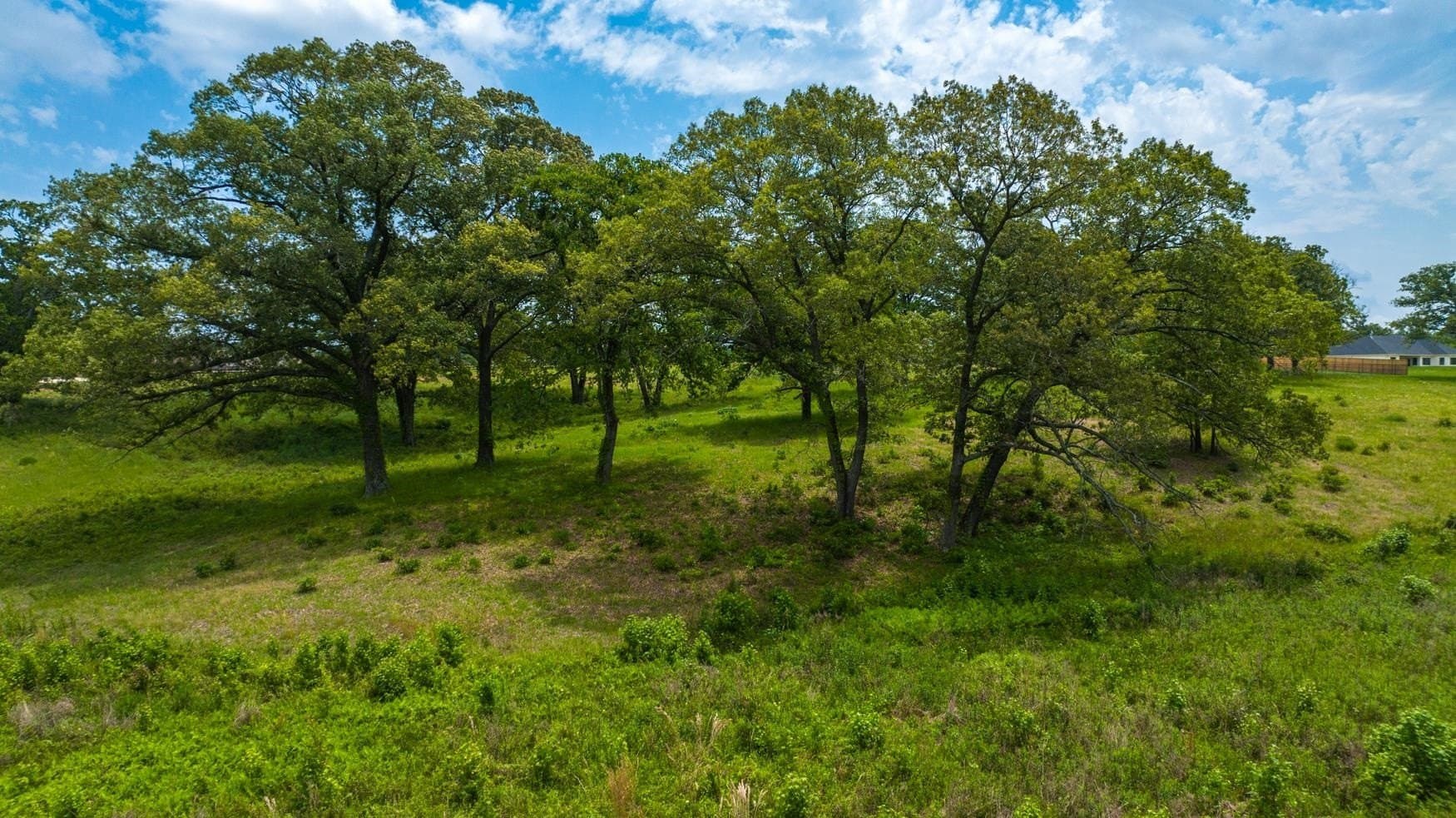 10.15 acres in Upshur County - photo 27