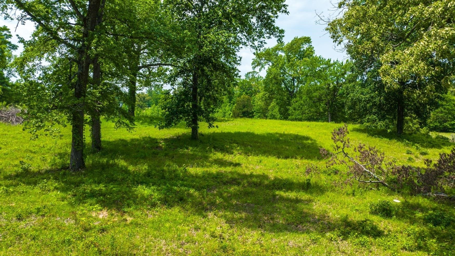 10.15 acres in Upshur County - photo 20