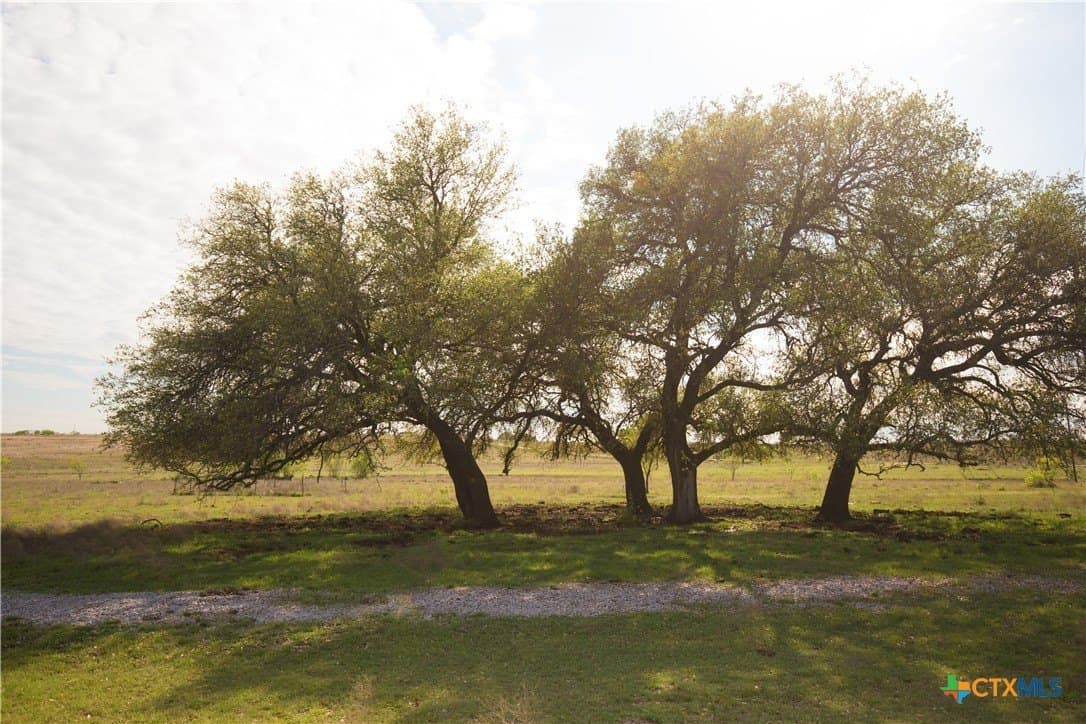 20.02 acres in Lampasas County - photo 7