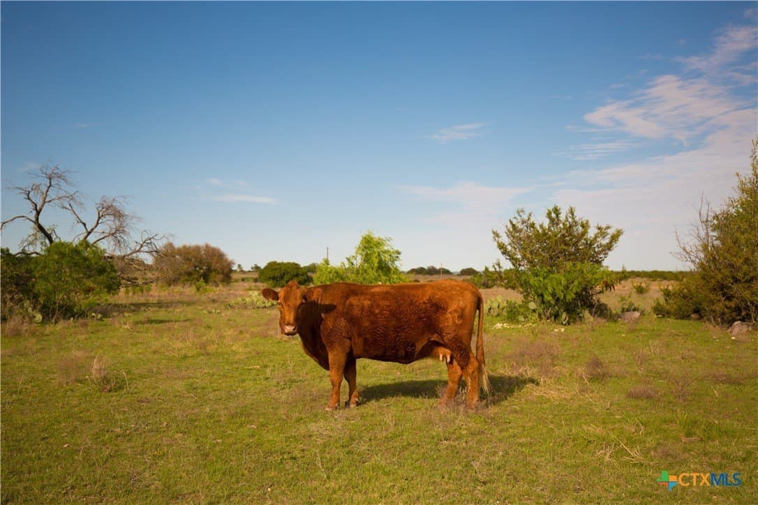 20.02 acres in Lampasas County featured view