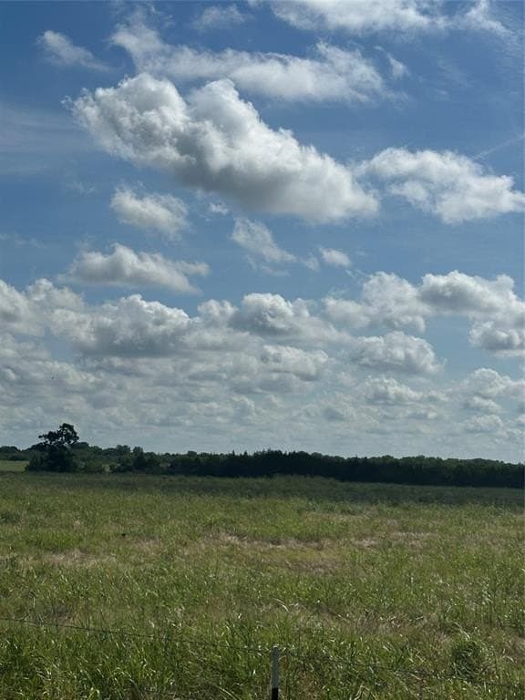 205.56 acres in Fannin County gallery image 2