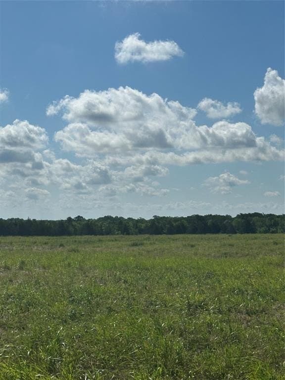 205.56 acres in Fannin County gallery image 4