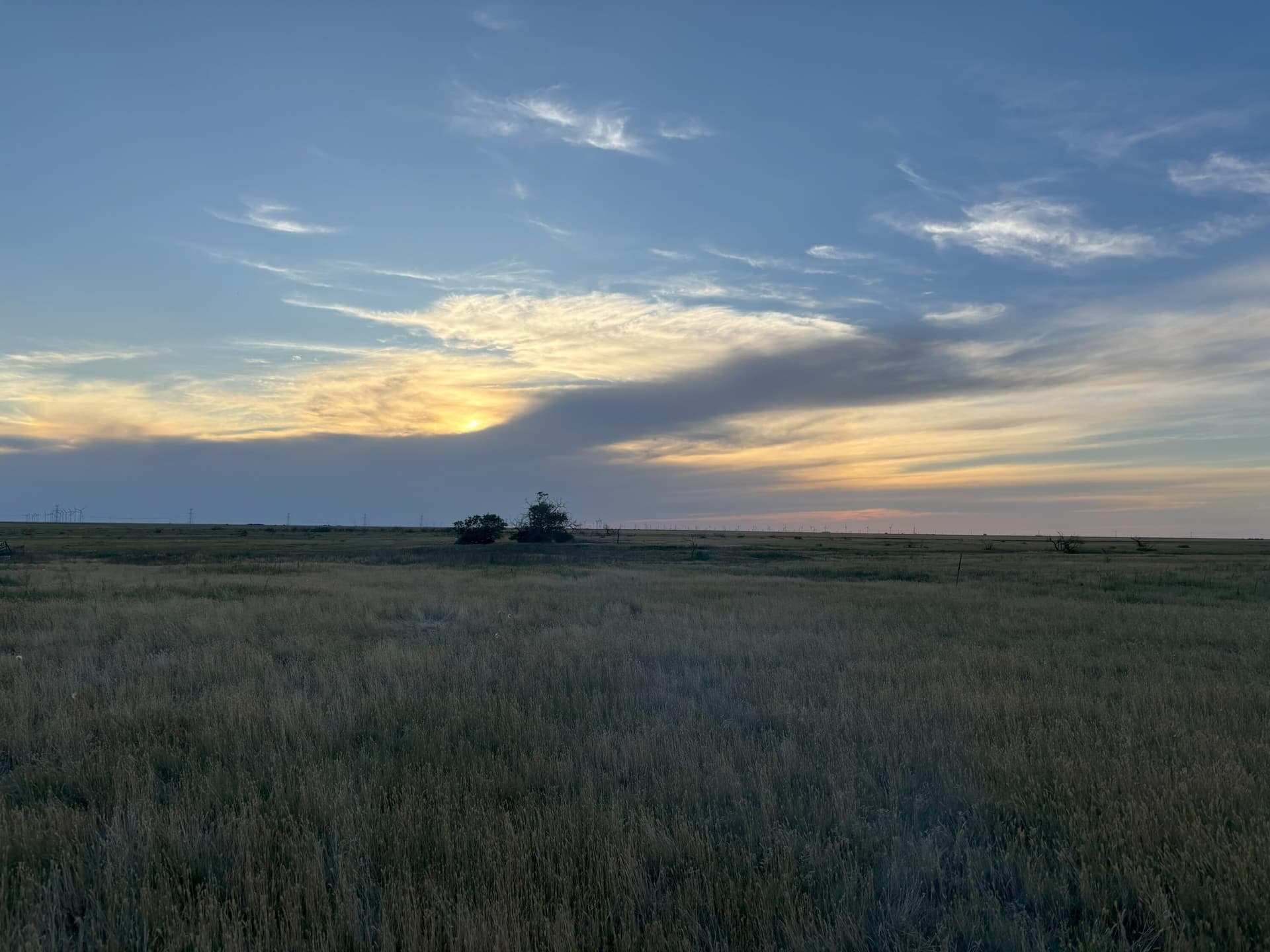160 acres in Floyd County gallery image 2