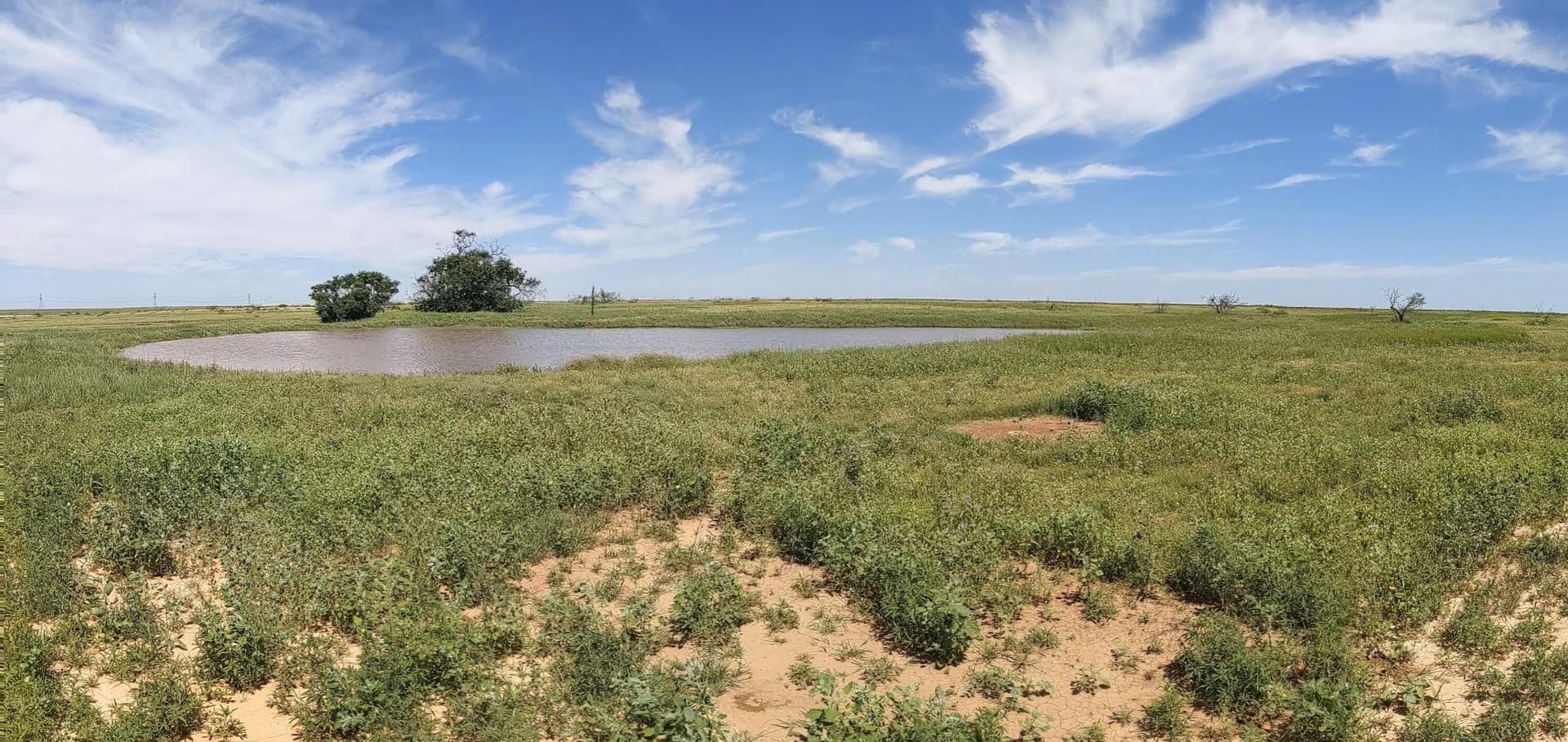 160 acres in Floyd County gallery image 4