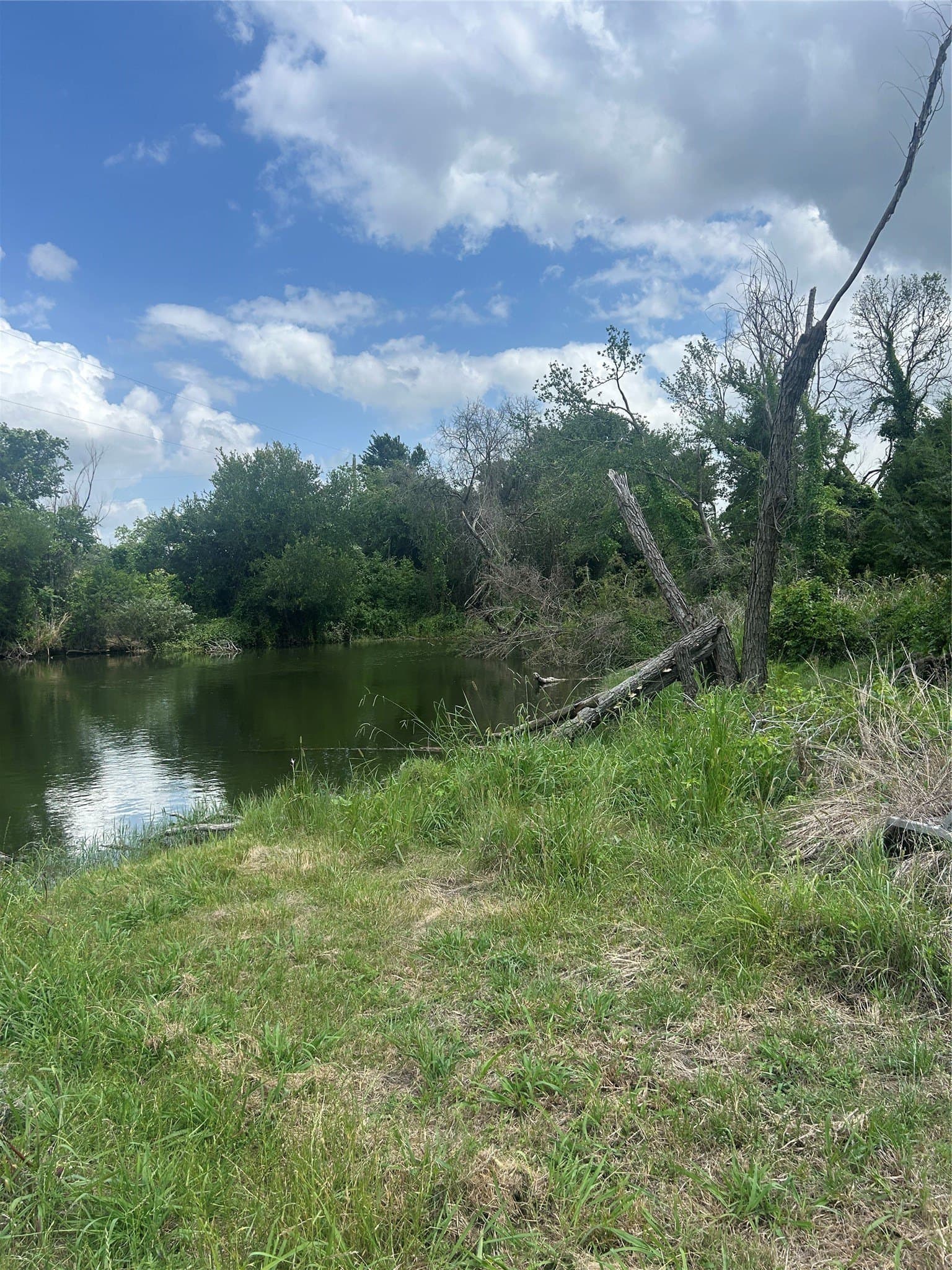 82.02 acres in Hill County - photo 20
