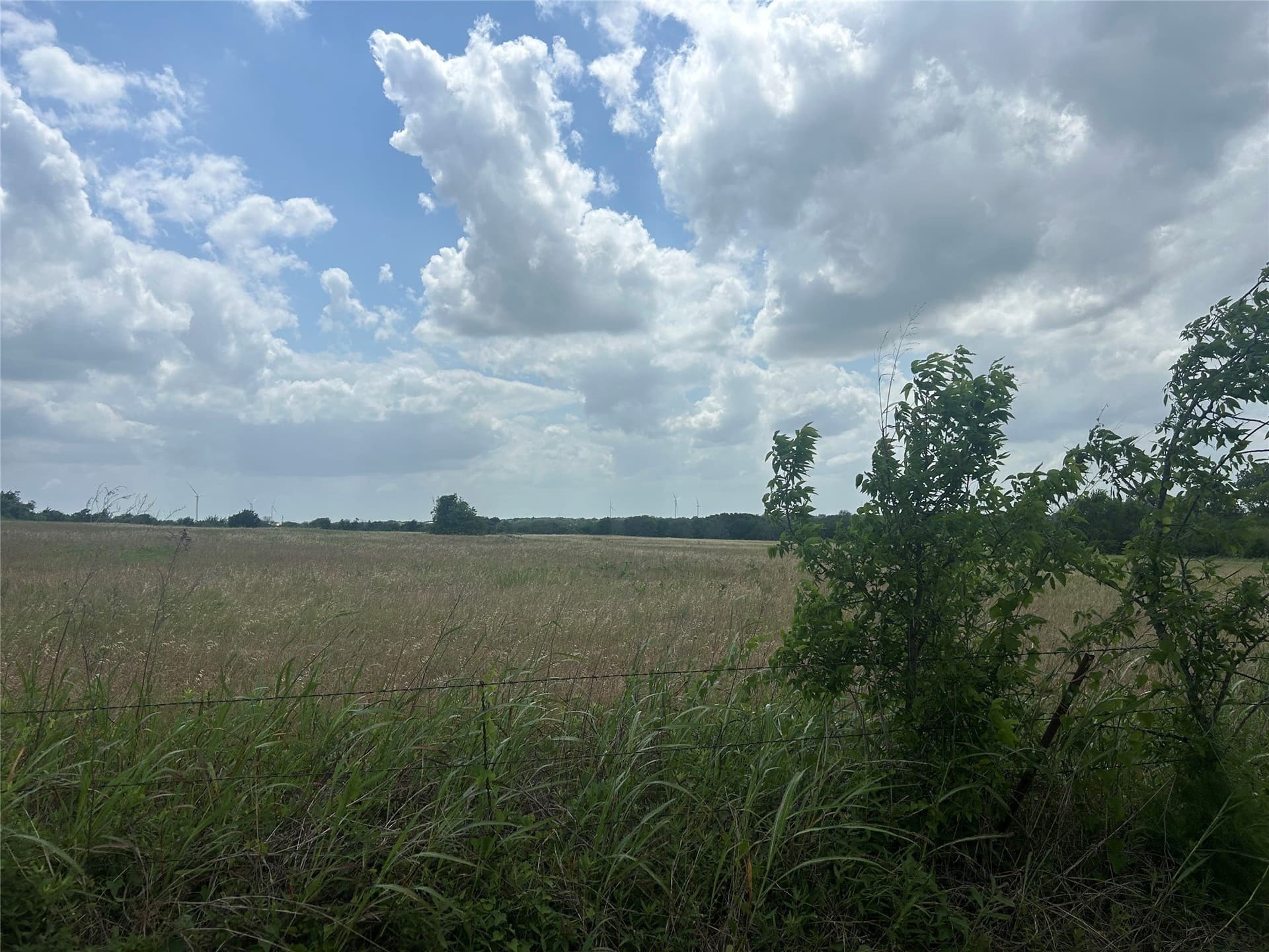 82.02 acres in Hill County - photo 15