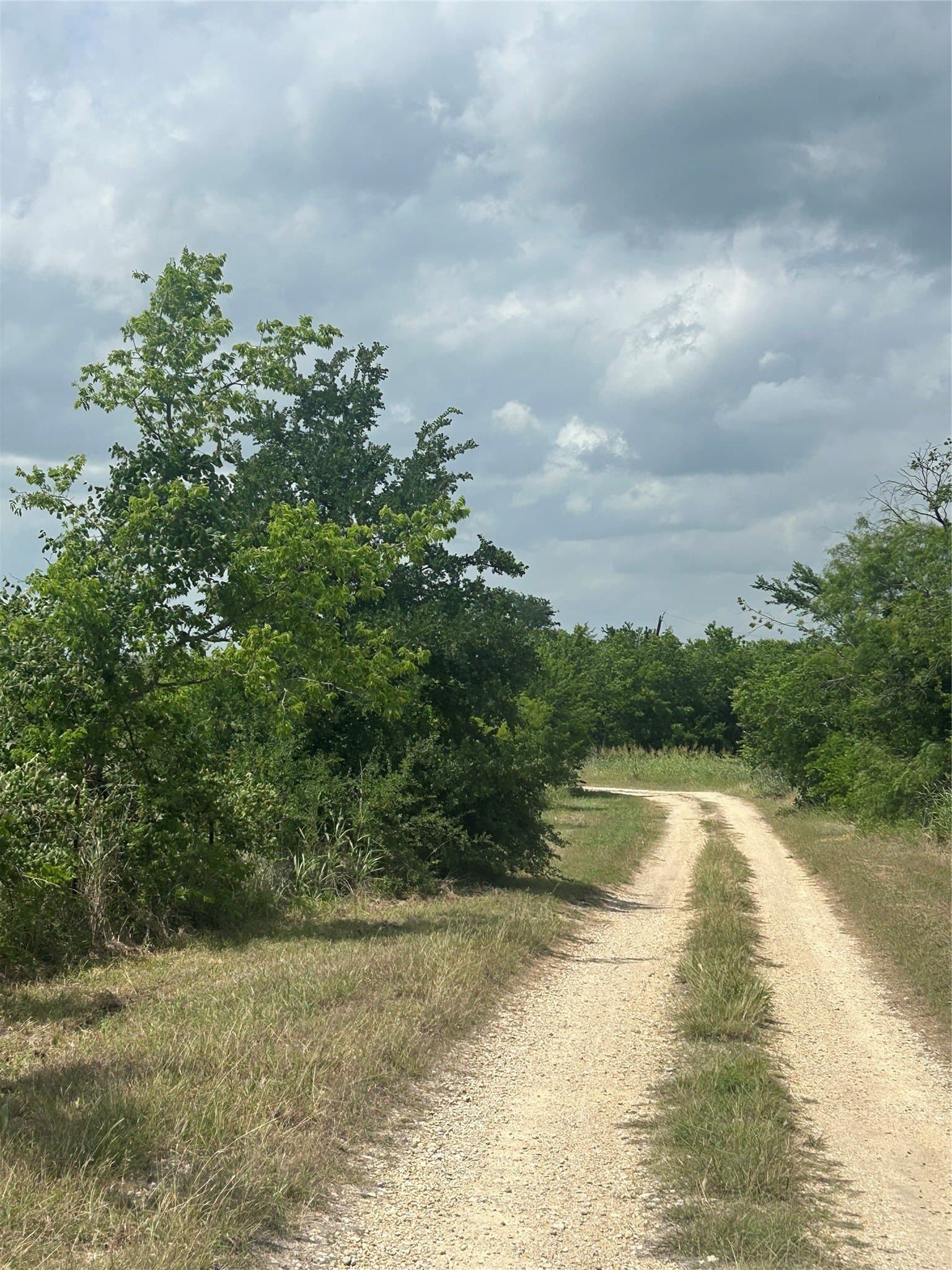 82.02 acres in Hill County - photo 17