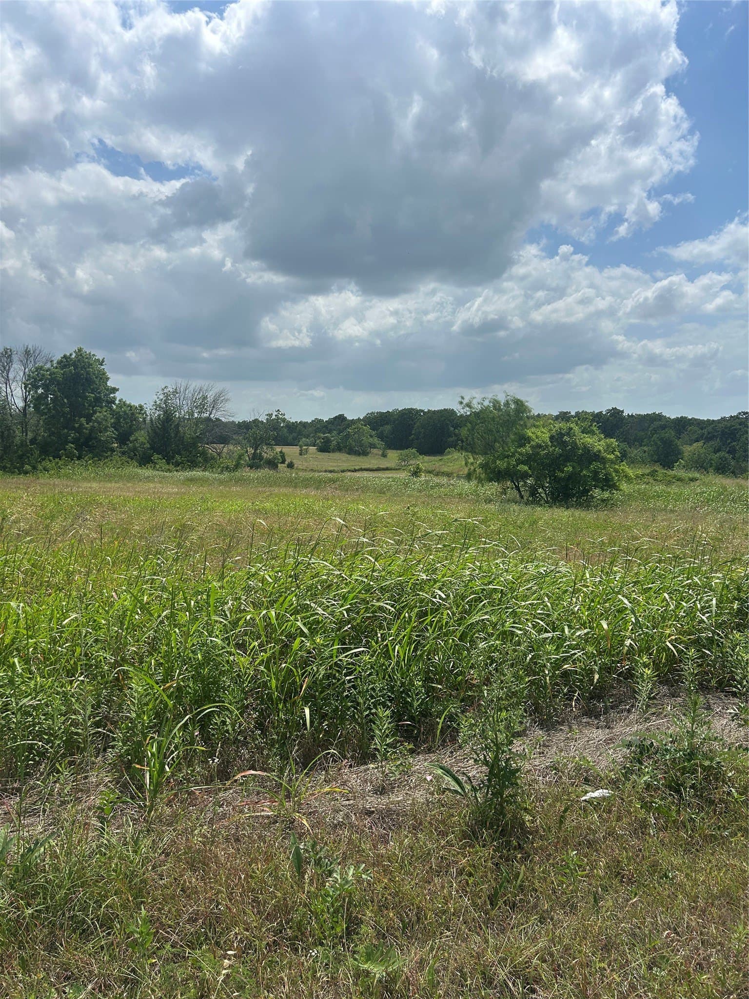 82.02 acres in Hill County - photo 23