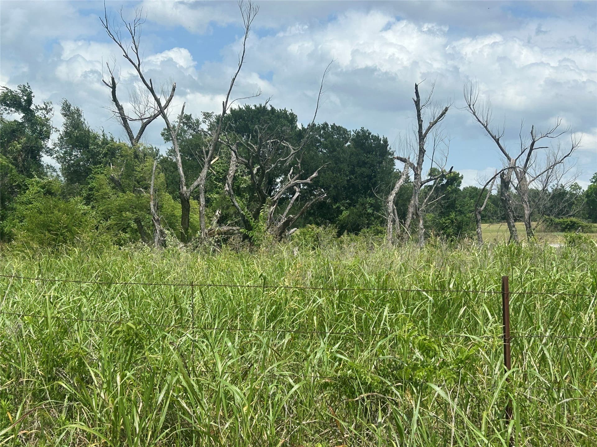 82.02 acres in Hill County - photo 18