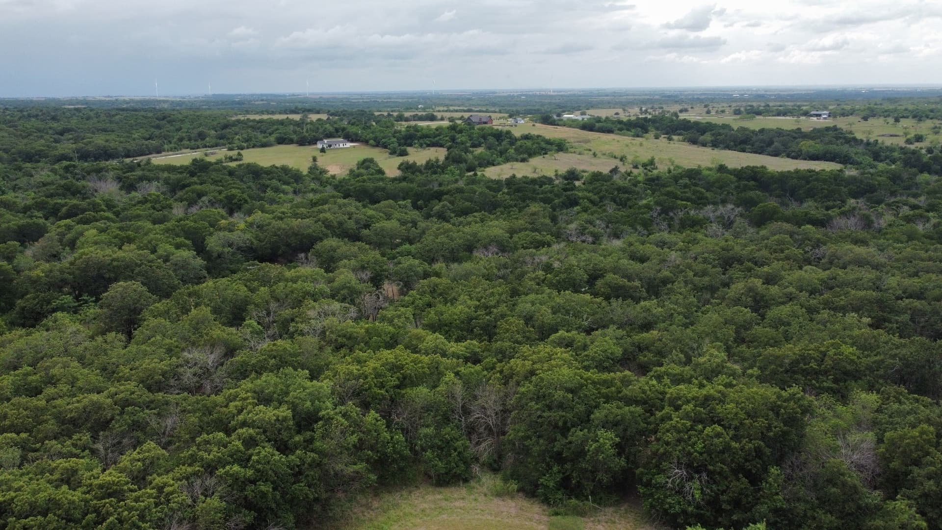 82.02 acres in Hill County - photo 11