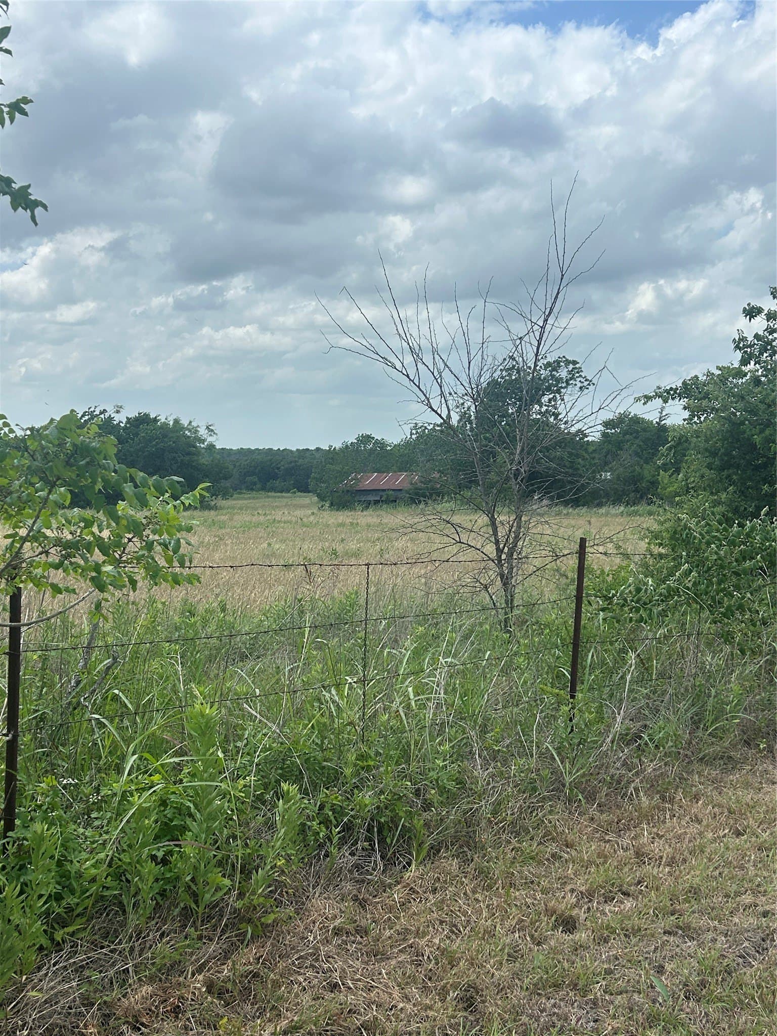 82.02 acres in Hill County - photo 16