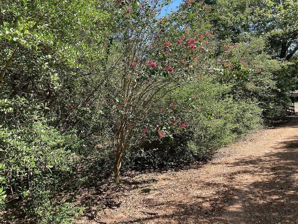 3.15 acres in Fayette County - photo 18