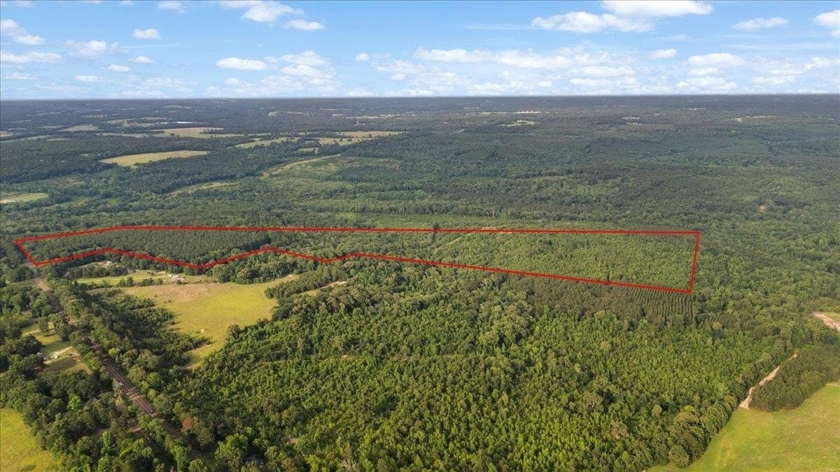 58.43 acres in Rusk County gallery image 2