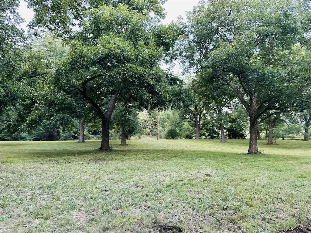 39 acres in Cooke County gallery image 3