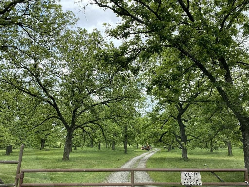 39 acres in Cooke County gallery image 2