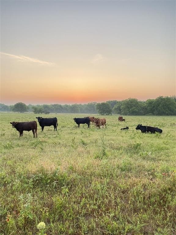 39 acres in Cooke County gallery image 4