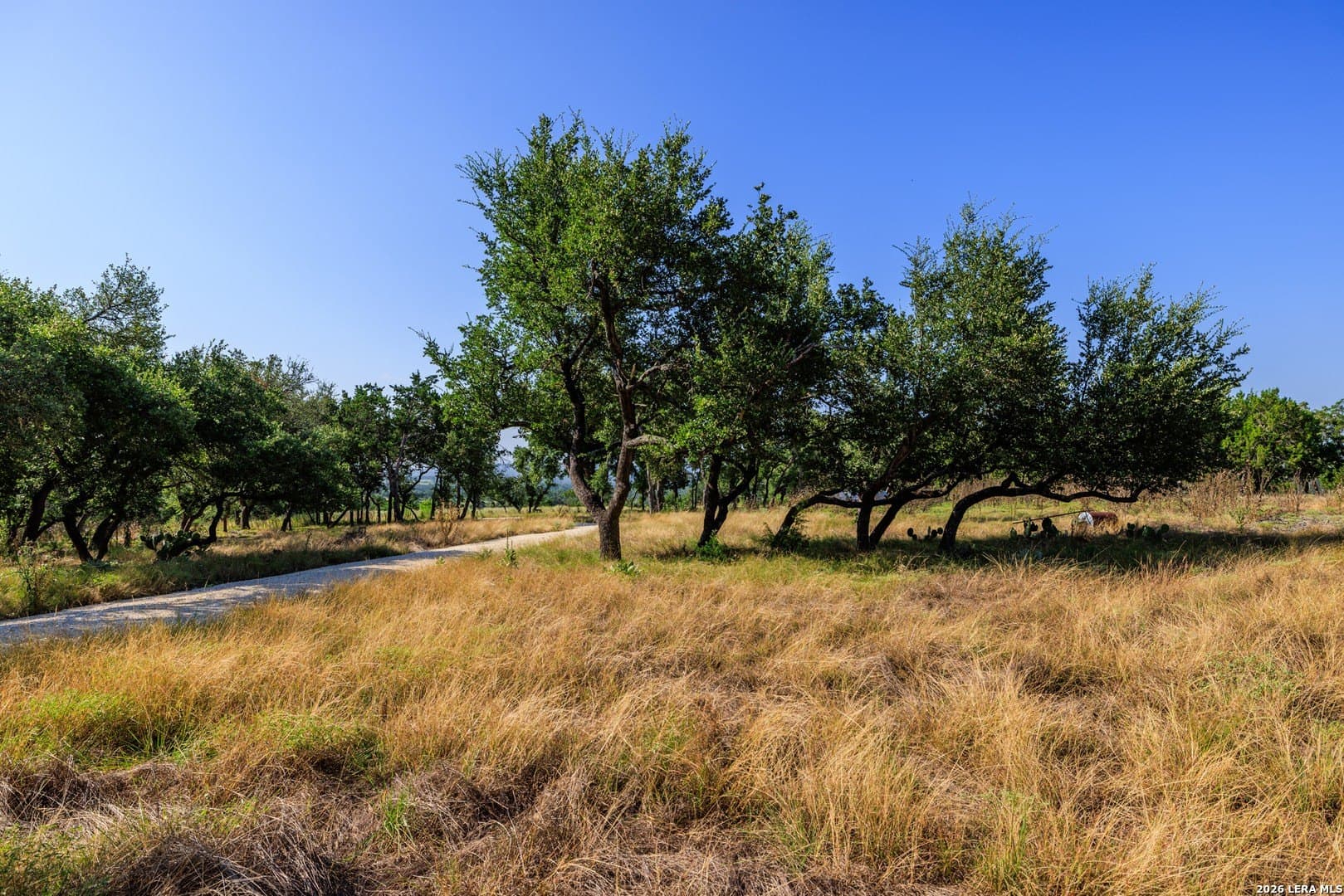 10 acres in Gillespie County - photo 23