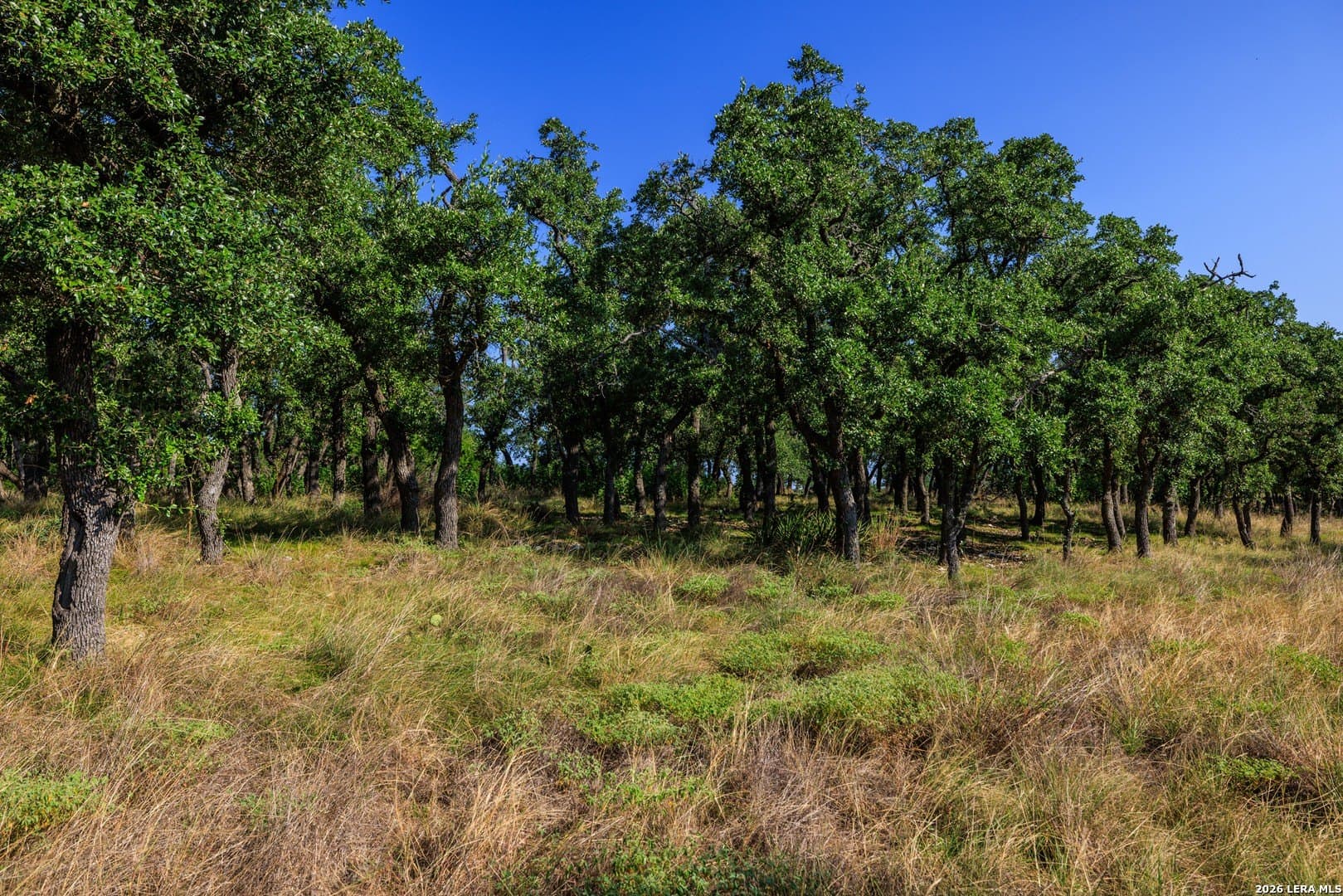 10 acres in Gillespie County - photo 17