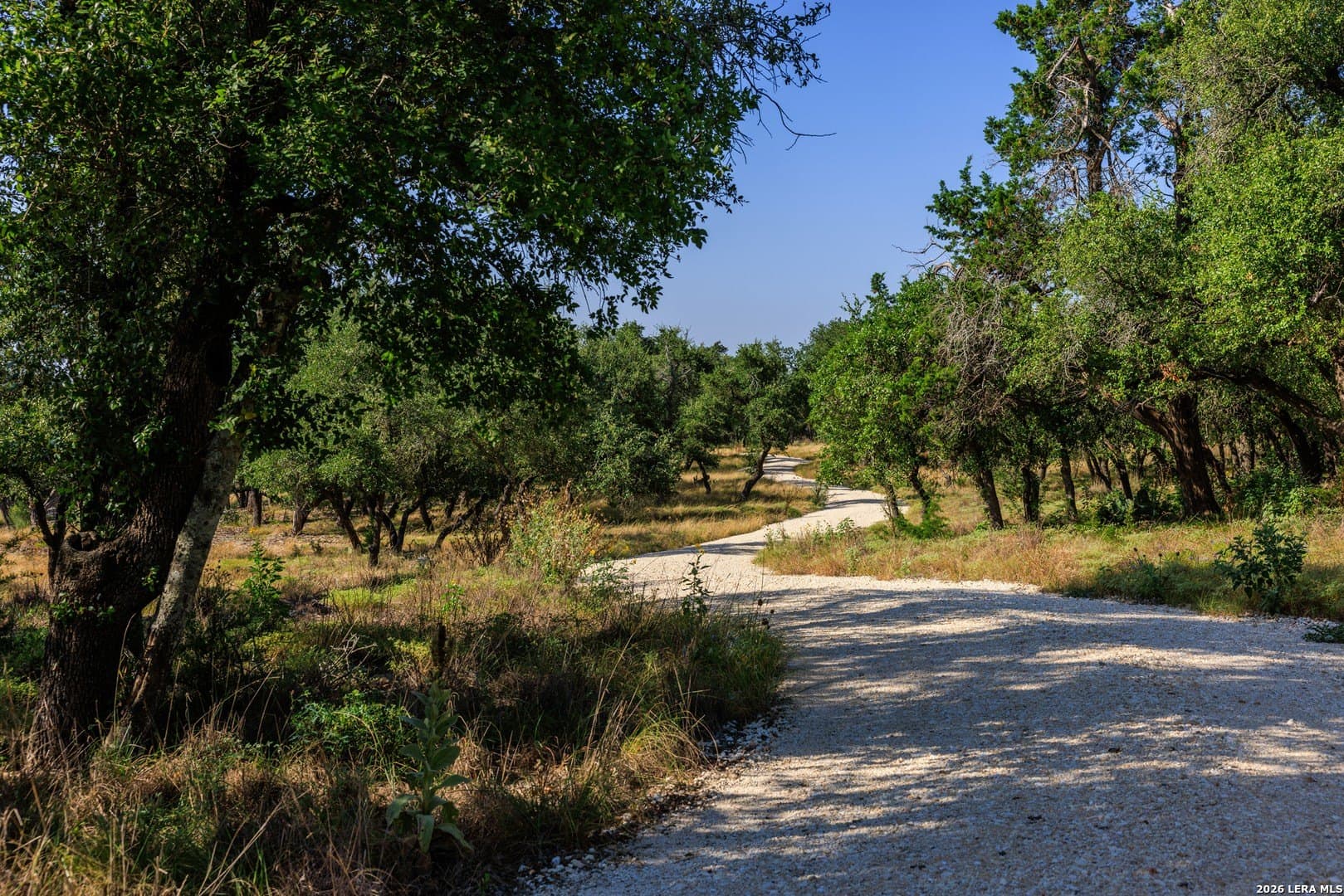 10 acres in Gillespie County - photo 19