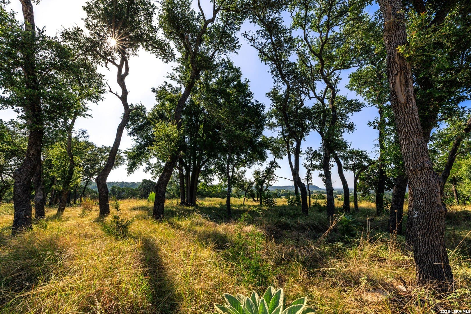 10 acres in Gillespie County - photo 12